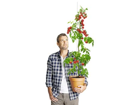 汉蓝二氧化碳气肥增产